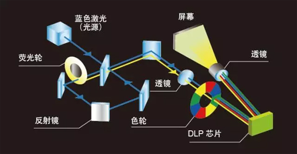 M(yng)DLP⹤̙CTCP-WL6000U